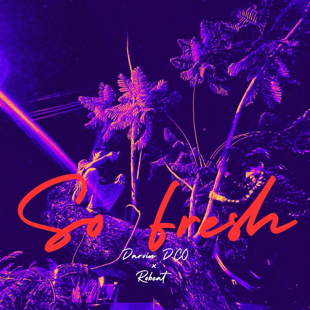 Обложка альбома «So Fresh - Single» — Darvin DCO & Robeat