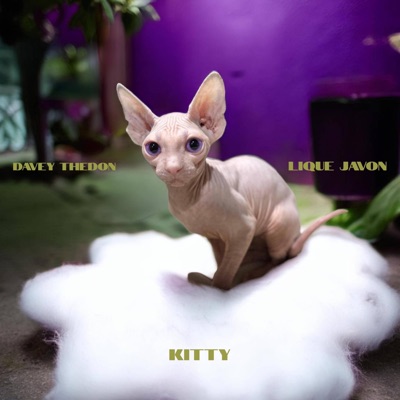 KITTY (feat. Davey TheDon) - Single