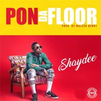 Pon Da Floor - Single - Shaydee