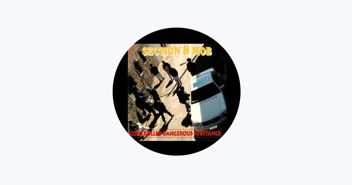 SECTION 8 MOB レア皿 SECTION 8 MOB - GUILTY BY ASSOCIATION