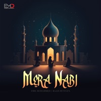 Mera Nabi - Single - Emil Mohammed & Raazi Mustafa