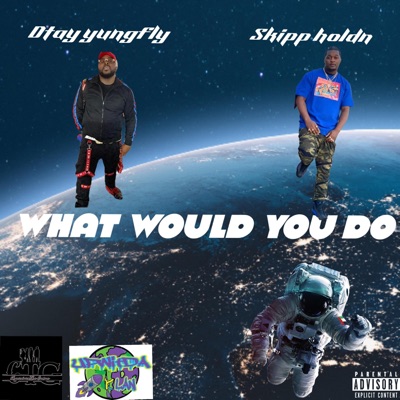 What would you do (feat. Skipp holdn) - Single