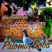 Edwin el Calvito Reyes - Paloma Boba