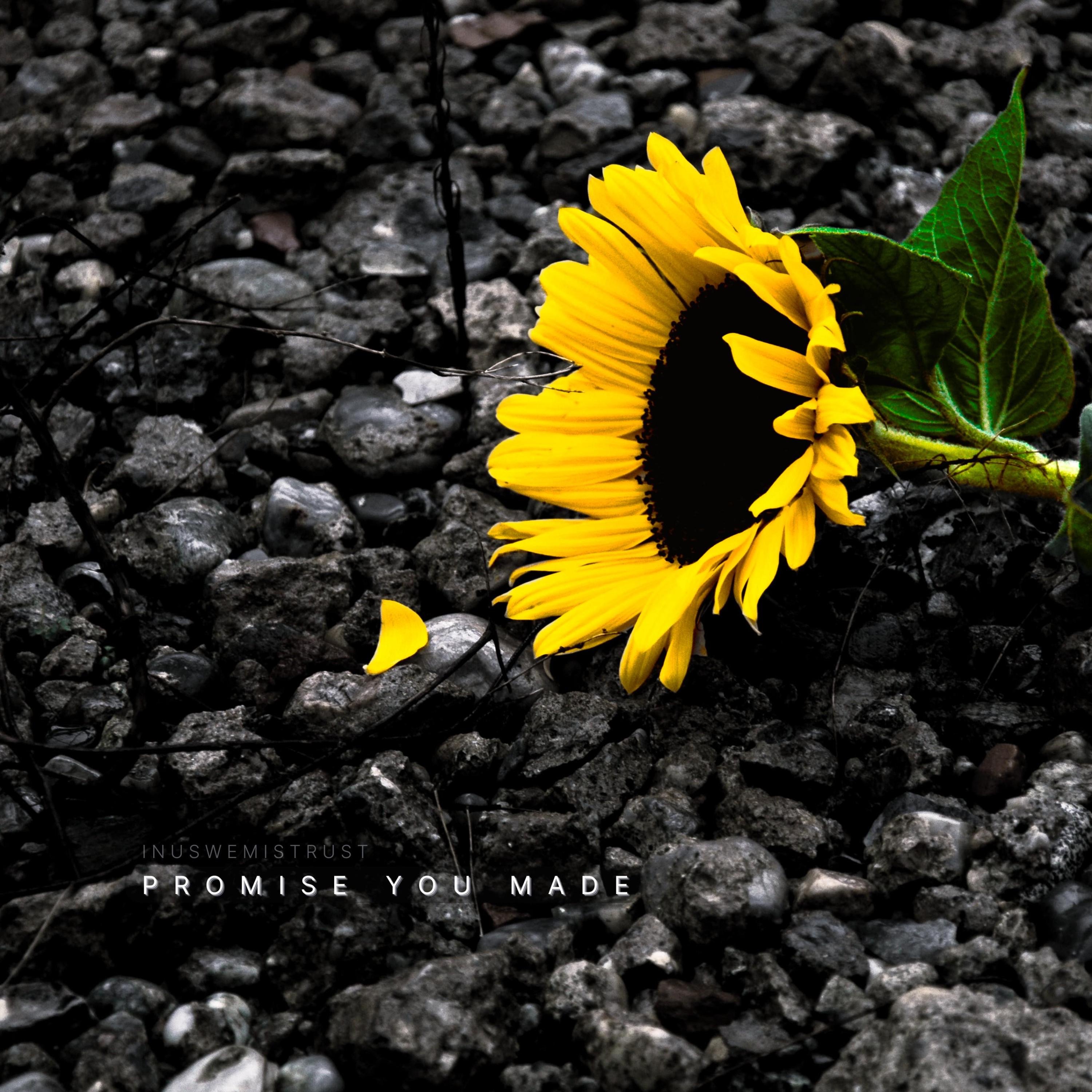 Promise You Made - Single
