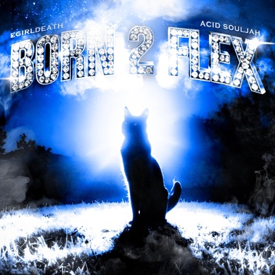 BORN 2 FLEX (feat. Acid Souljah) - Single
