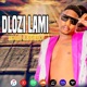 Dlozilami Single