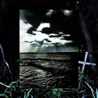 In Tomorrow's Light, Is a Shadows Destiny - ZILLA$kAVE