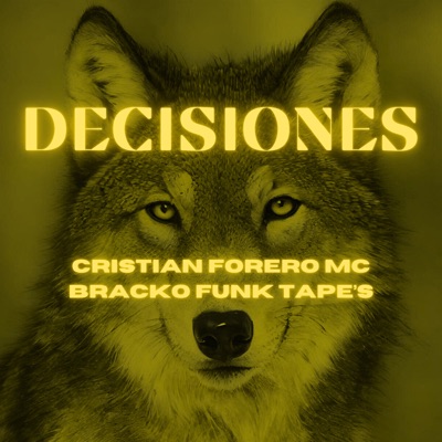 Decisiones - Single