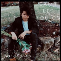 Can't Let You Go - Single - Josh Tigran