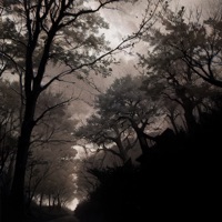 GRYOZ'I - Single - Tmut & DOC0