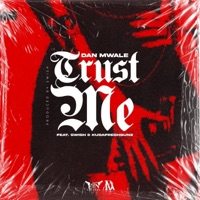 Trust Me (feat. Swish & KudaFreshBunz) - Single - Dan Mwale