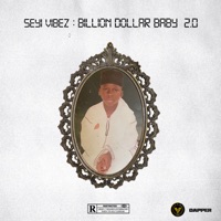Album cover for Psalm 23 by Seyi Vibez