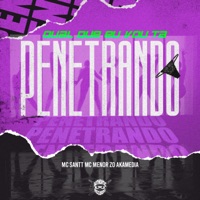 Qual Que Eu Vo Ta Penetrando - Single - Mc Santt & MC MENOR ZO