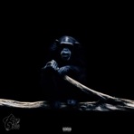 vonoff flow - Single