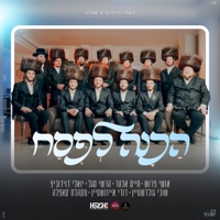 הכנה לפסח (feat. שוכי גולדשטיין, דודי אייזנשטיין, אושי פרוש, חיים אלטר, הרשי סגל & מקהלת קאפלה) - Single - יואלי דוידוביץ