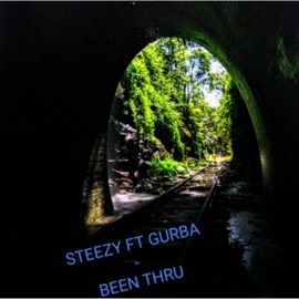Been Thru (feat. Gurba) Steezy