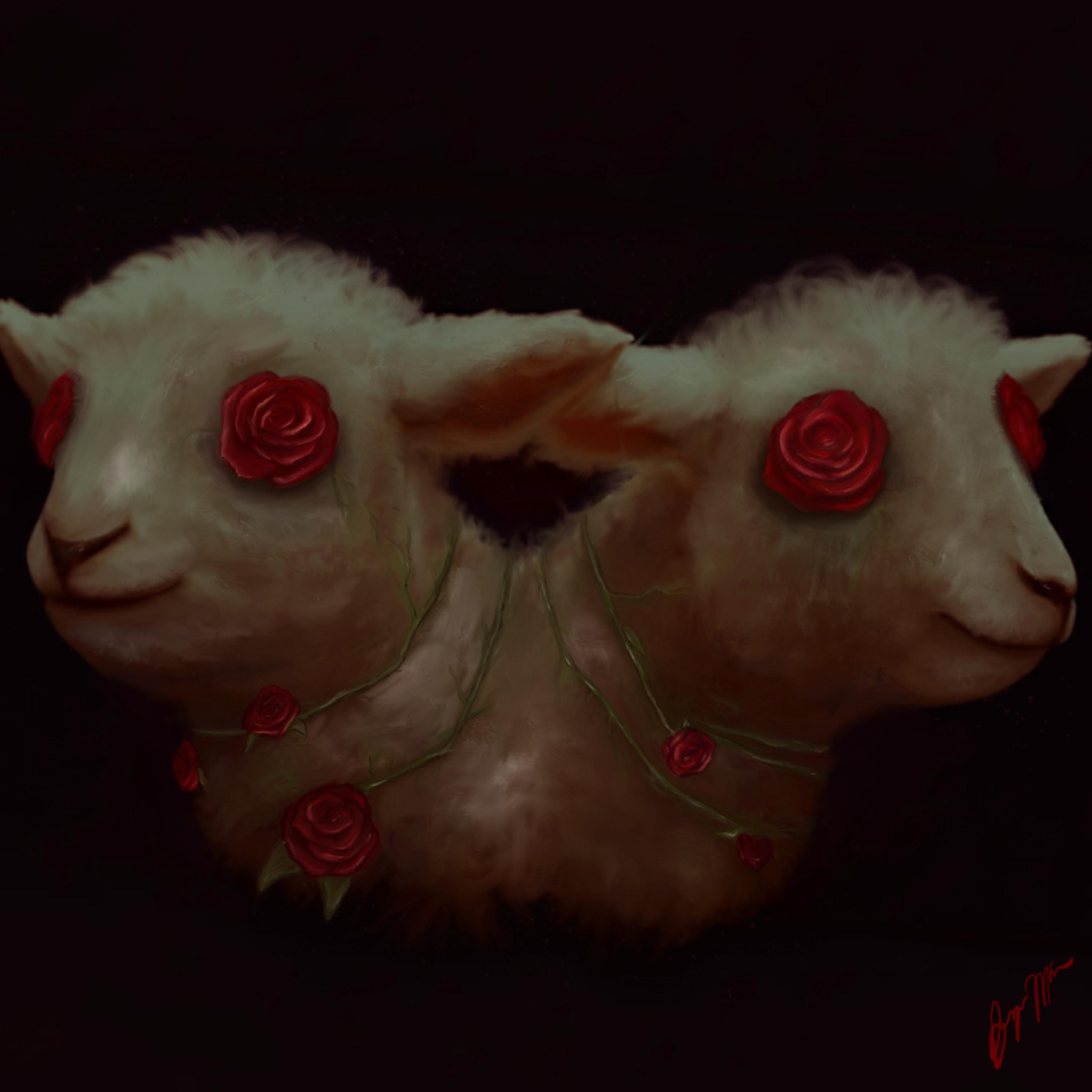 WOOL & WOE