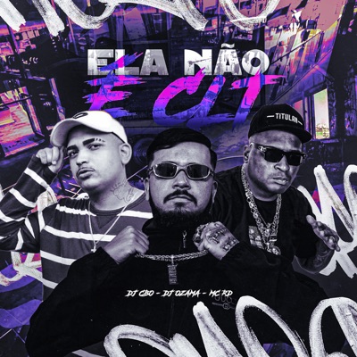 Ela Não É Clt - Single