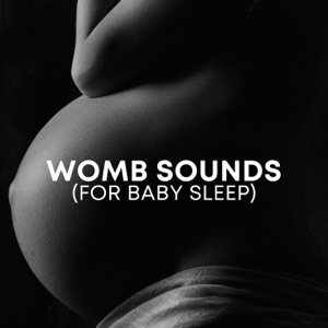 Womb Sounds (for Baby Sleep)