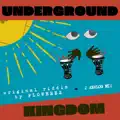 Underground Kingdom Mix Dub 1