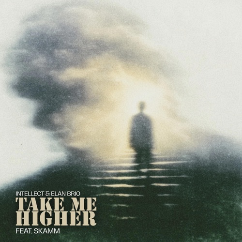 Take Me Higher (feat. SKAMM) - Single