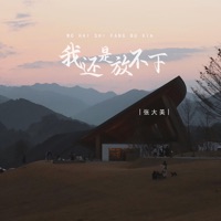 我还是放不下 (女版) - EP - 张大美