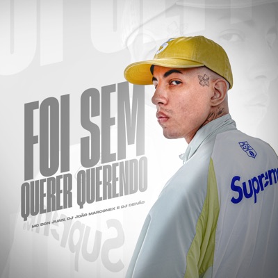 Foi Sem Querer Querendo - Single