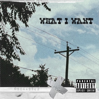 WHAT I WANT - Single