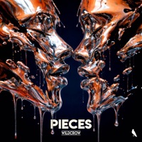 Pieces - Single - Wildcrow