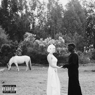 Si no fuéramos DiFerEnTes (feat. Vlntna B) - Single