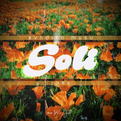 Soli - Single