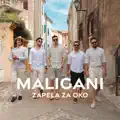 Zapela za oko