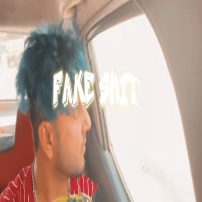 Fake Shit - Single