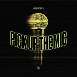 Pick Up The Mic GUI2IN