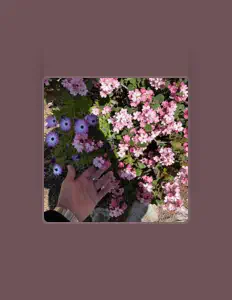 Alex Whitelaw을(를) 듣고, 뮤직 비디오를 보고, 약력을 읽고, 투어 일정 등을 확인하세요!