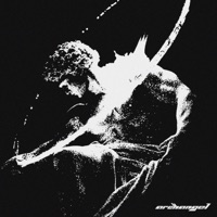 Archangel - Single - SVRGN & WEBBO