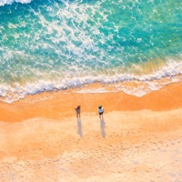 Tropical Waves - Renato Collyer