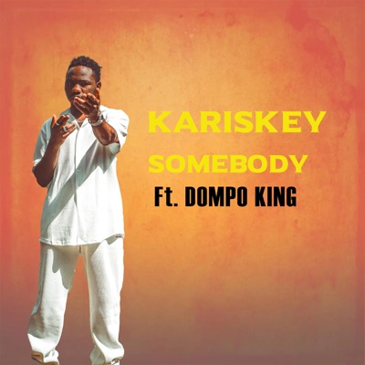 Somebody (feat. Dompo King) [Remix] - Single