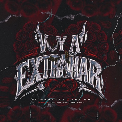 Voy A Extrañar - Single