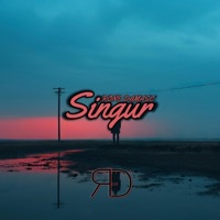 SINGUR - Single - RONE DAMASC