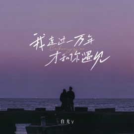我走过一万年才和你遇见 (治愈版) Bai yuny