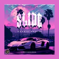 Slide (feat. Beautiful Perfection) - Single - itmightnotwork & Donnie Breeze