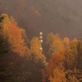 autumn rain Dreweybear