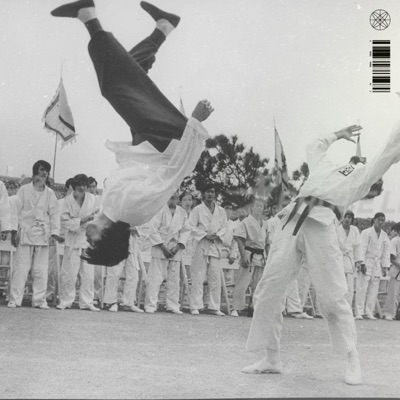 BRUCE LEE FREESTYLE - Single