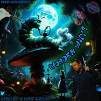 Wonder Why? (feat. Swift Homicide) - Single - VERIFYD