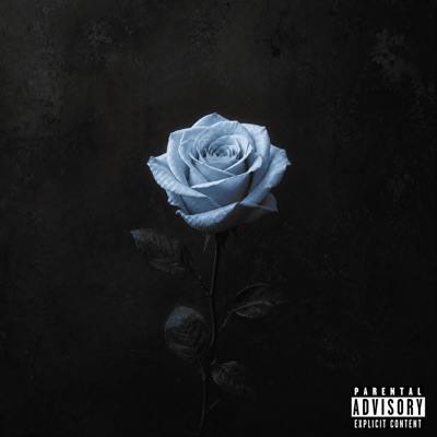 Alma Rosa II - Single