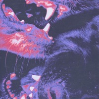 Savage - Single - Jauz & Alexiane