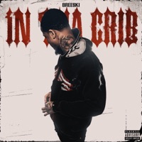 In Tha Crib - Single - Breeski