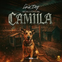 HUELLITAS DE CAMILA - Single - Lirik Dog & Lirik Dog Oficial