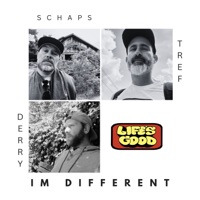 I'm Different - Single - Schaps, Derry & Tref